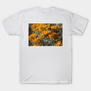 Sage in Bloom T-Shirt